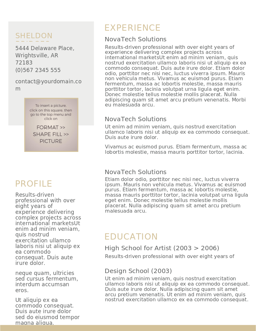 Clean and Classy CV preview